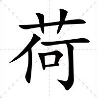 荷字義|荷：荷的意思/造詞/解釋/注音